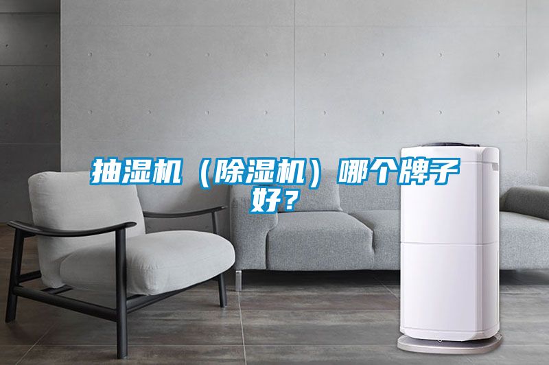 抽濕機（除濕機）哪個牌子好？