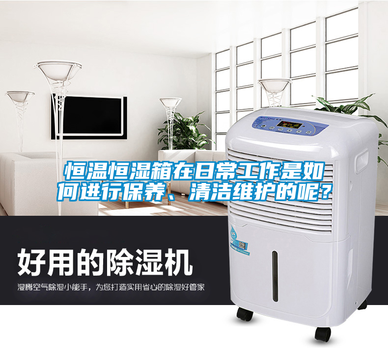 恒溫恒濕箱在日常工作是如何進行保養(yǎng)、清潔維護的呢？