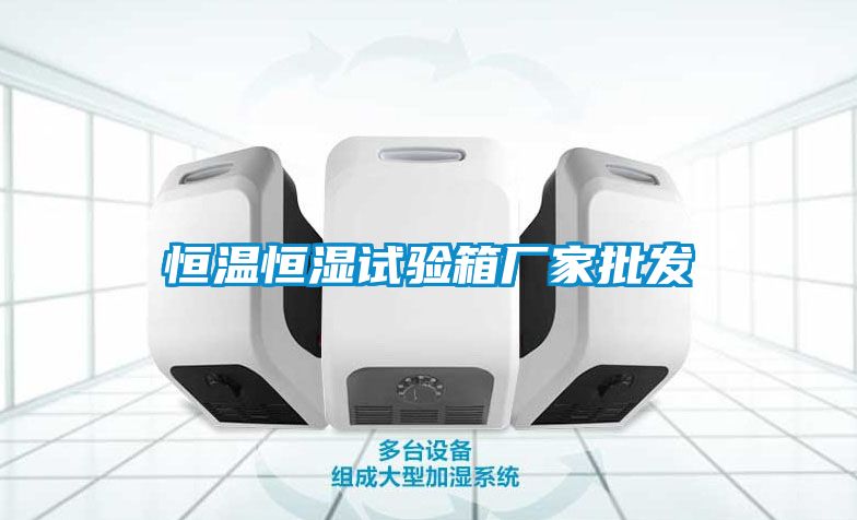 恒溫恒濕試驗(yàn)箱廠(chǎng)家批發(fā)
