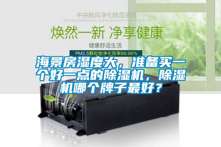 海景房濕度大，準備買一個好一點的除濕機，除濕機哪個牌子最好？