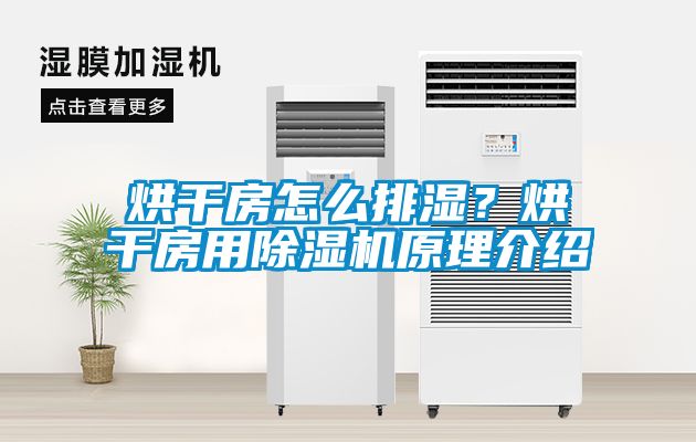 烘干房怎么排濕？烘干房用除濕機(jī)原理介紹