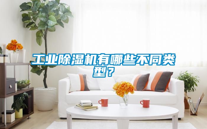工業(yè)除濕機(jī)有哪些不同類型？