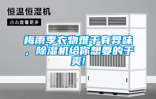 梅雨季衣物難干有異味，除濕機(jī)給你想要的干爽!