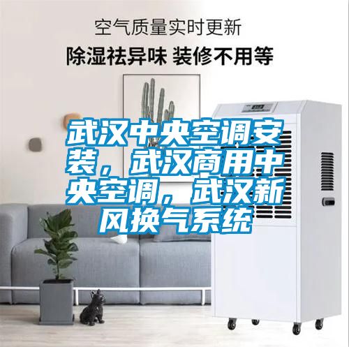 武漢中央空調(diào)安裝，武漢商用中央空調(diào)，武漢新風換氣系統(tǒng)
