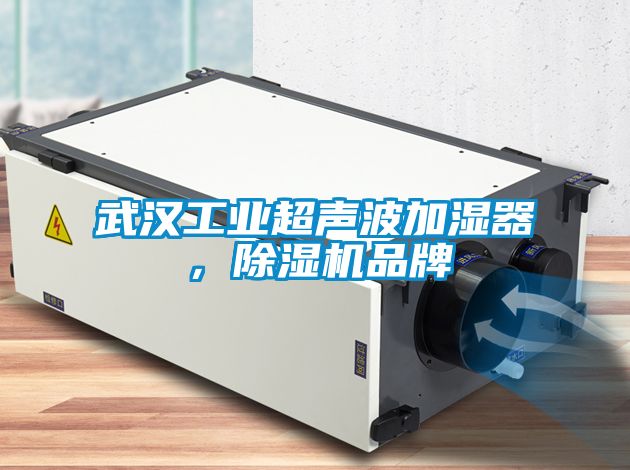 武漢工業(yè)超聲波加濕器，除濕機(jī)品牌