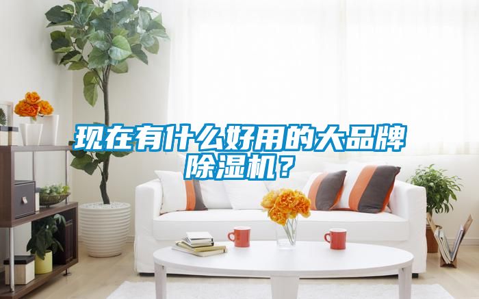 現(xiàn)在有什么好用的大品牌除濕機(jī)？