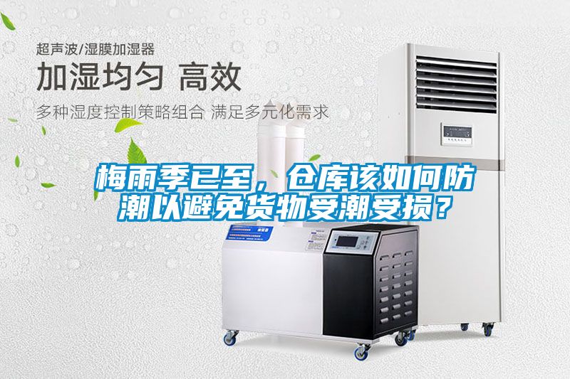 梅雨季已至，倉(cāng)庫(kù)該如何防潮以避免貨物受潮受損？