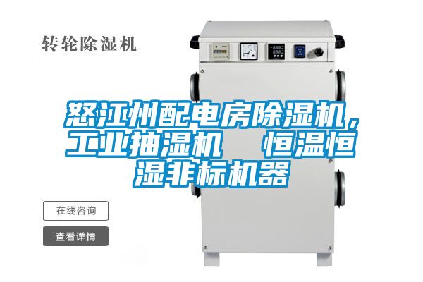 怒江州配電房除濕機，工業(yè)抽濕機  恒溫恒濕非標機器