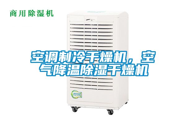 空調(diào)制冷干燥機，空氣降溫除濕干燥機
