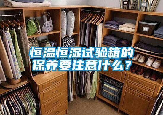 恒溫恒濕試驗箱的保養(yǎng)要注意什么？