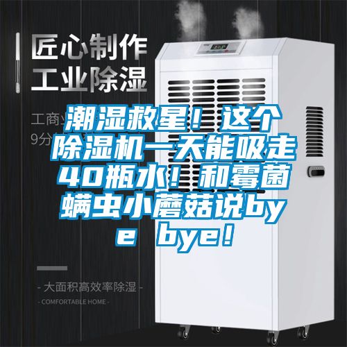 潮濕救星！這個除濕機一天能吸走40瓶水！和霉菌螨蟲小蘑菇說bye bye！