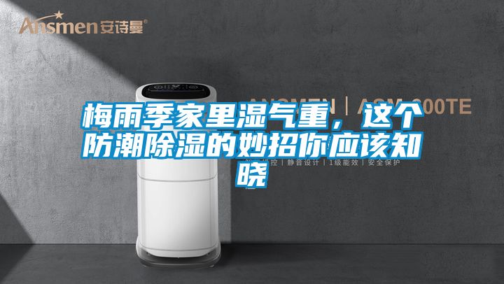 梅雨季家里濕氣重，這個防潮除濕的妙招你應(yīng)該知曉