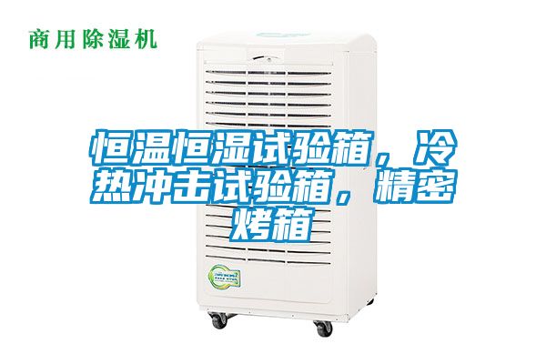 恒溫恒濕試驗(yàn)箱，冷熱沖擊試驗(yàn)箱，精密烤箱