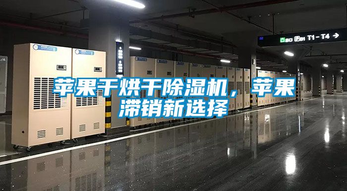 蘋果干烘干除濕機，蘋果滯銷新選擇