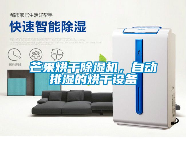 芒果烘干除濕機，自動排濕的烘干設備