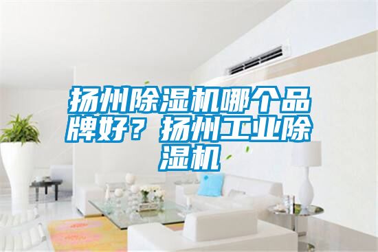揚(yáng)州除濕機(jī)哪個(gè)品牌好？揚(yáng)州工業(yè)除濕機(jī)