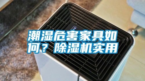 潮濕危害家具如何？除濕機實用