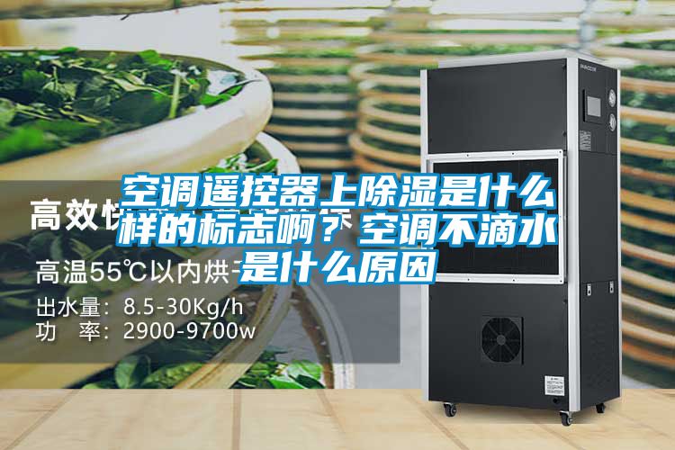空調(diào)遙控器上除濕是什么樣的標志?。靠照{(diào)不滴水是什么原因