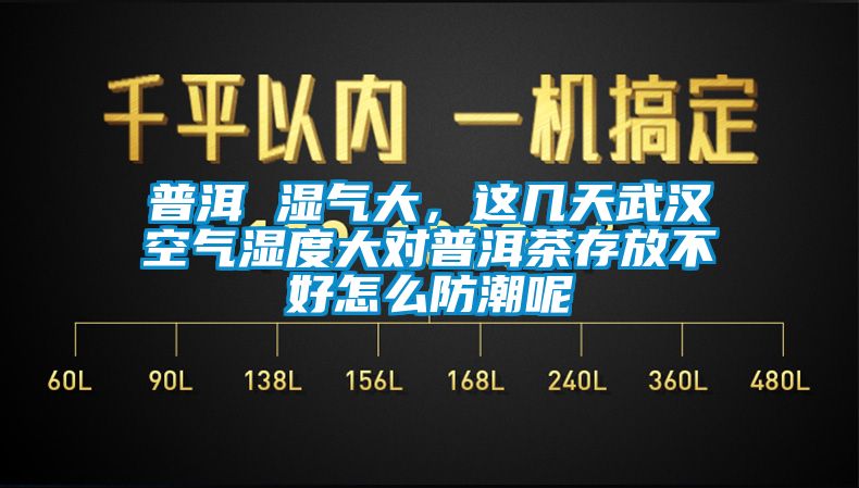 普洱 濕氣大，這幾天武漢空氣濕度大對普洱茶存放不好怎么防潮呢