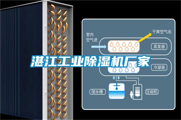 湛江工業(yè)除濕機(jī)廠(chǎng)家