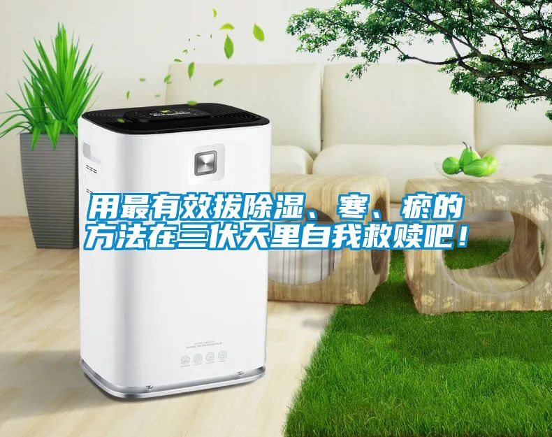 用最有效拔除濕、寒、瘀的方法在三伏天里自我救贖吧！