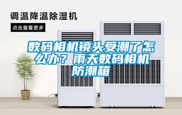 數(shù)碼相機(jī)鏡頭受潮了怎么辦？雨天數(shù)碼相機(jī)防潮箱