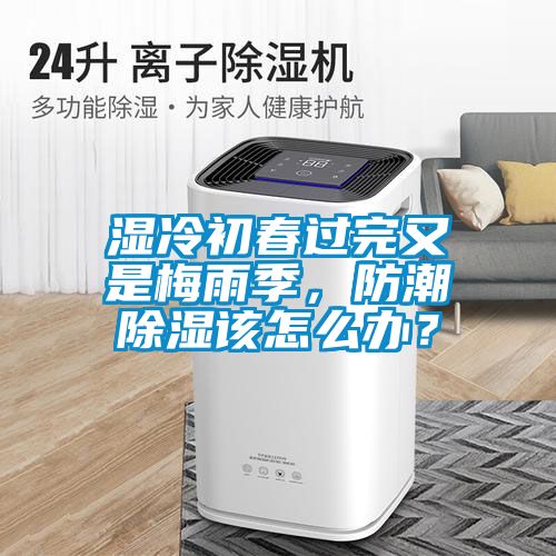濕冷初春過完又是梅雨季，防潮除濕該怎么辦？