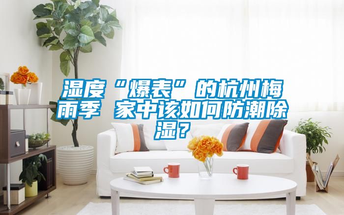 濕度“爆表”的杭州梅雨季 家中該如何防潮除濕？