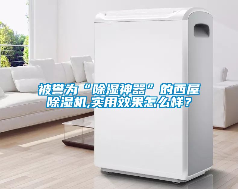 被譽為“除濕神器”的西屋除濕機(jī),實用效果怎么樣？