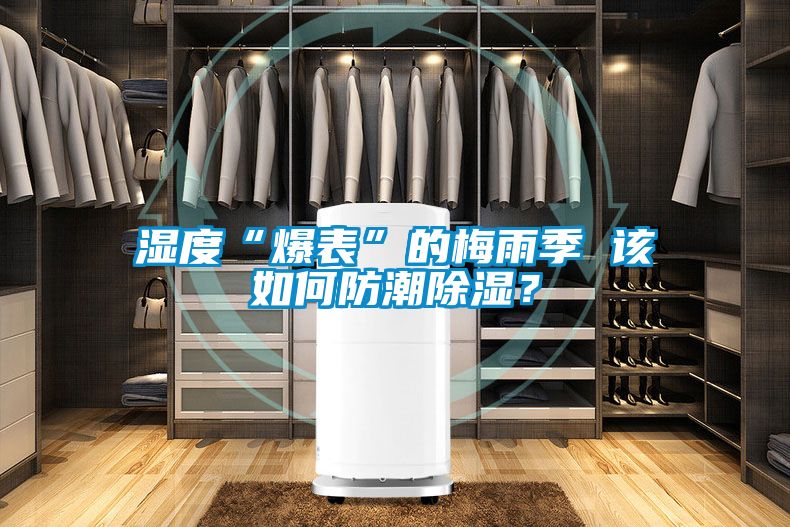 濕度“爆表”的梅雨季 該如何防潮除濕？