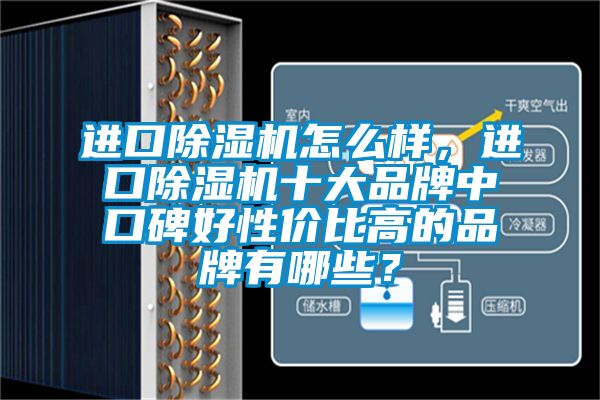 進(jìn)口除濕機(jī)怎么樣，進(jìn)口除濕機(jī)十大品牌中口碑好性價(jià)比高的品牌有哪些？