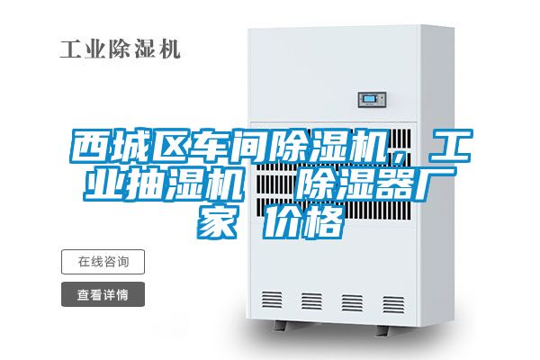 西城區(qū)車間除濕機，工業(yè)抽濕機  除濕器廠家 價格