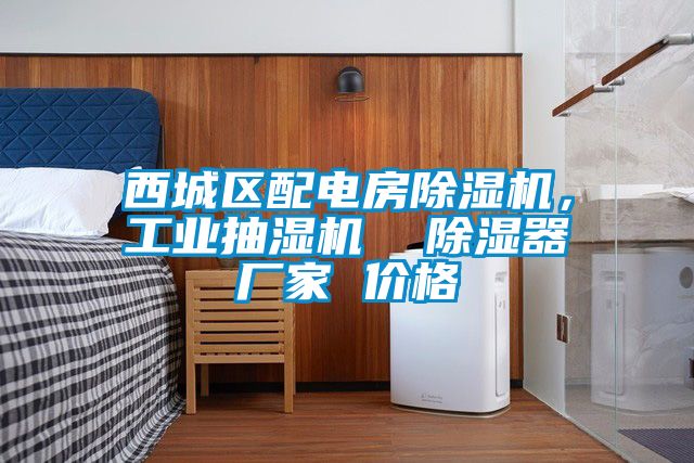 西城區(qū)配電房除濕機(jī)，工業(yè)抽濕機(jī)  除濕器廠家 價(jià)格