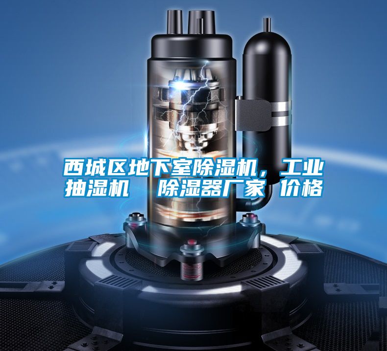 西城區(qū)地下室除濕機(jī)，工業(yè)抽濕機(jī)  除濕器廠家 價格