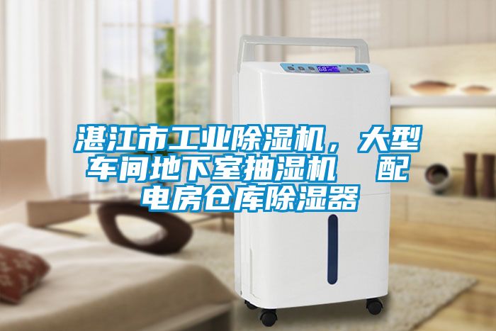 湛江市工業(yè)除濕機(jī)，大型車間地下室抽濕機(jī)  配電房倉庫除濕器