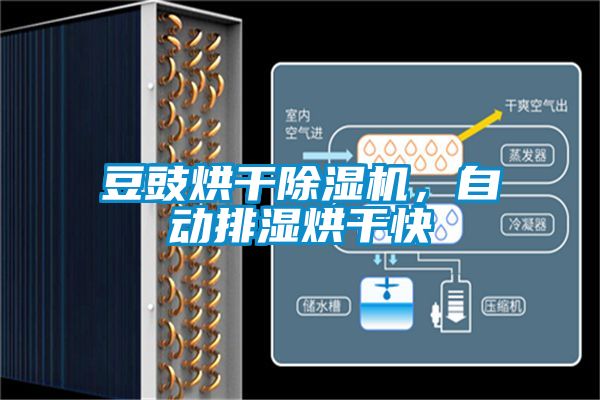 豆豉烘干除濕機(jī)，自動(dòng)排濕烘干快