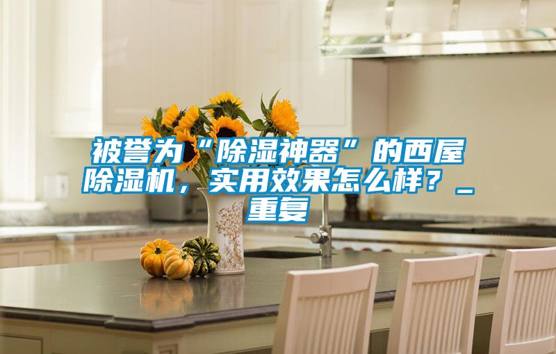 被譽(yù)為“除濕神器”的西屋除濕機(jī)，實(shí)用效果怎么樣？_重復(fù)