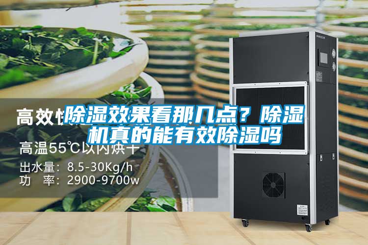除濕效果看那幾點？除濕機真的能有效除濕嗎