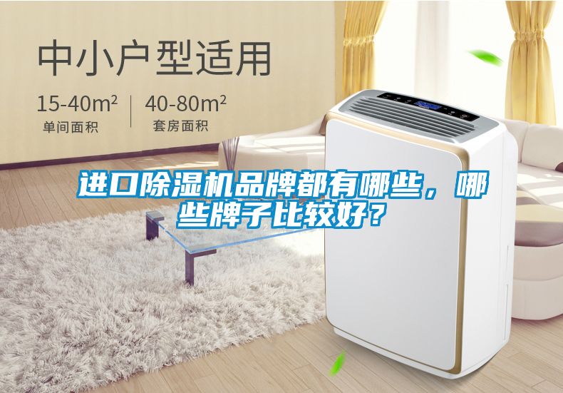 進口除濕機品牌都有哪些，哪些牌子比較好？