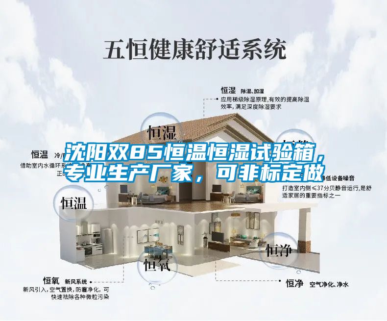 沈陽雙85恒溫恒濕試驗箱，專業(yè)生產(chǎn)廠家，可非標(biāo)定做
