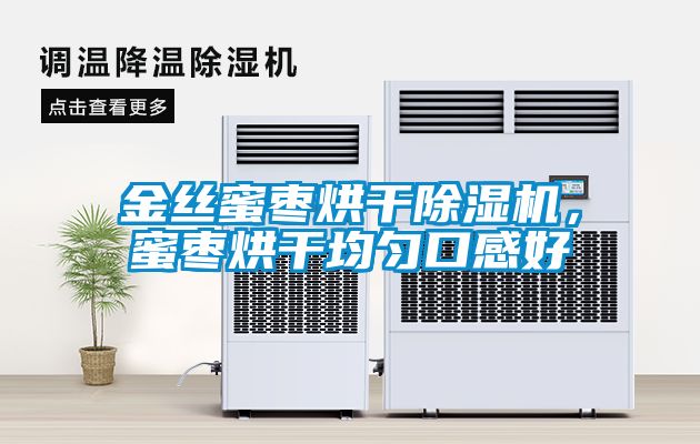 金絲蜜棗烘干除濕機，蜜棗烘干均勻口感好