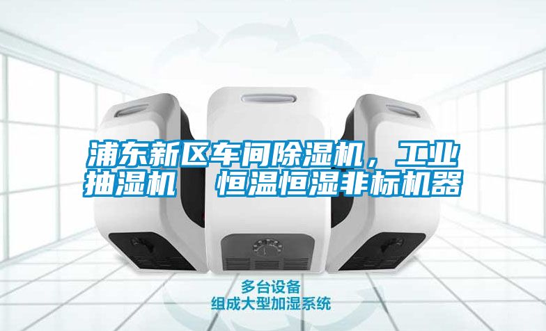 浦東新區(qū)車間除濕機(jī)，工業(yè)抽濕機(jī)  恒溫恒濕非標(biāo)機(jī)器
