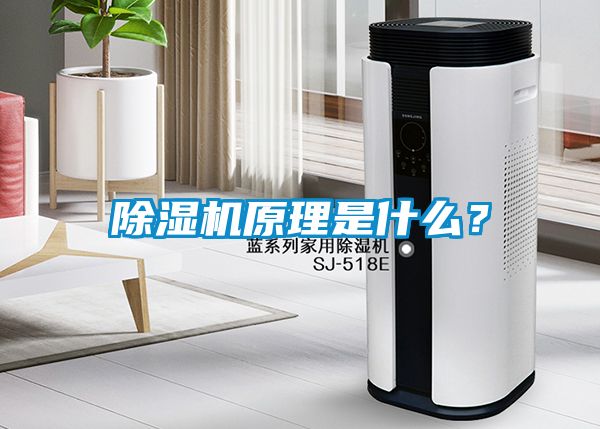 除濕機(jī)原理是什么？
