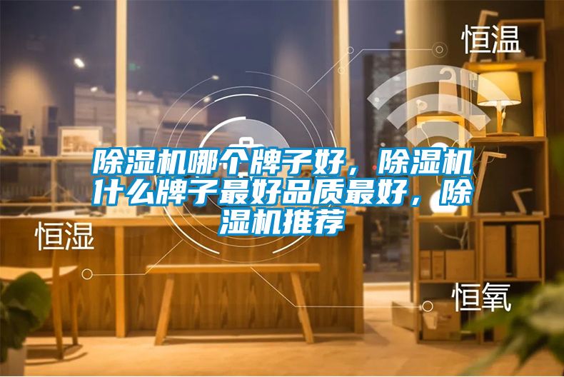 除濕機(jī)哪個(gè)牌子好，除濕機(jī)什么牌子最好品質(zhì)最好，除濕機(jī)推薦