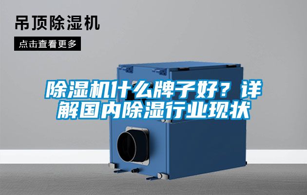 除濕機(jī)什么牌子好？詳解國內(nèi)除濕行業(yè)現(xiàn)狀