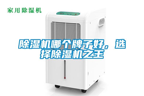 除濕機(jī)哪個(gè)牌子好，選擇除濕機(jī)之王