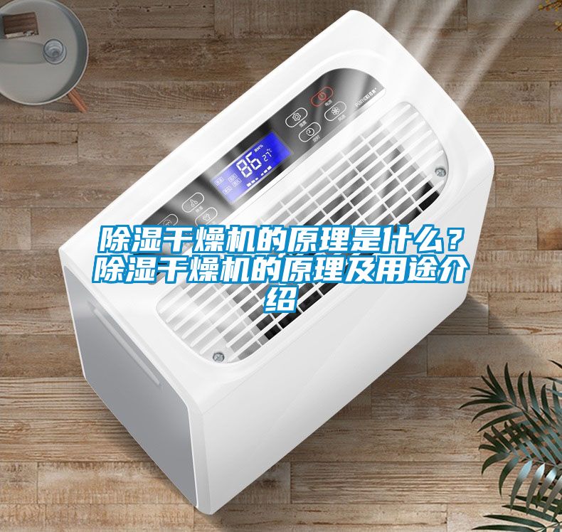 除濕干燥機(jī)的原理是什么？除濕干燥機(jī)的原理及用途介紹