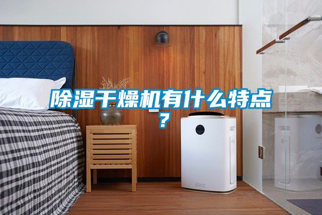 除濕干燥機(jī)有什么特點(diǎn)？