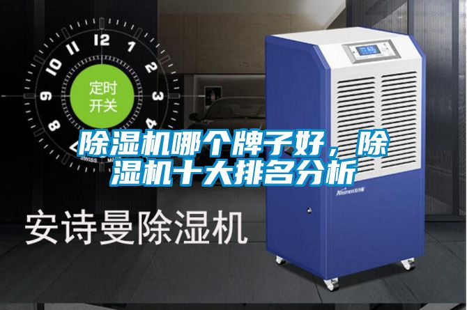 除濕機(jī)哪個(gè)牌子好，除濕機(jī)十大排名分析