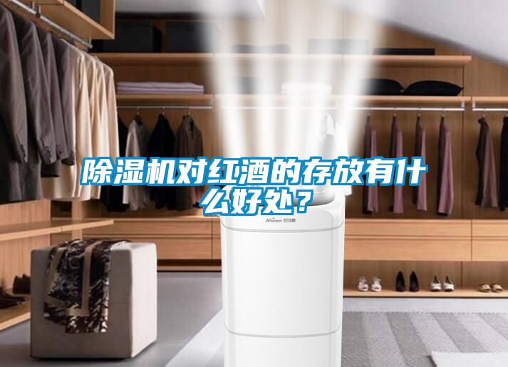 除濕機(jī)對(duì)紅酒的存放有什么好處？
